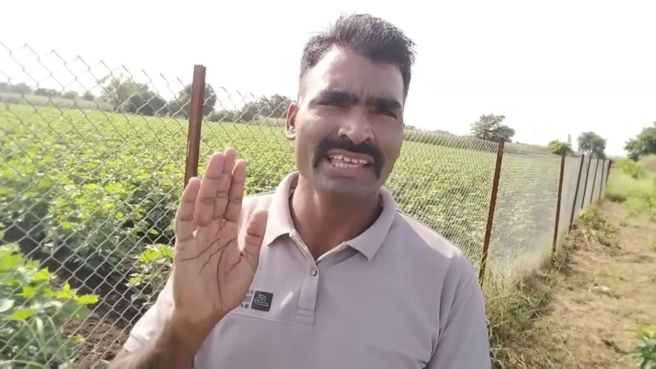एक एकर शेतीला जाळी कुंपण करण्यासाठी येणारा खर्च.