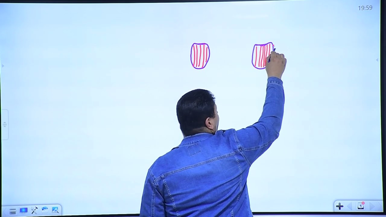 المحاضرة الرابع والعشرون الفصل الثالث التكاثر