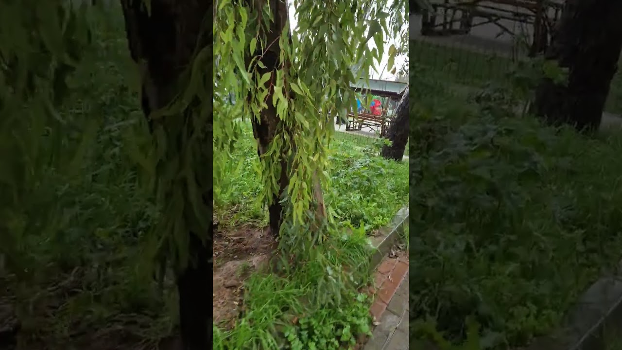 istanbul/ Tuzla/ yaya yolu/ Kaldırım