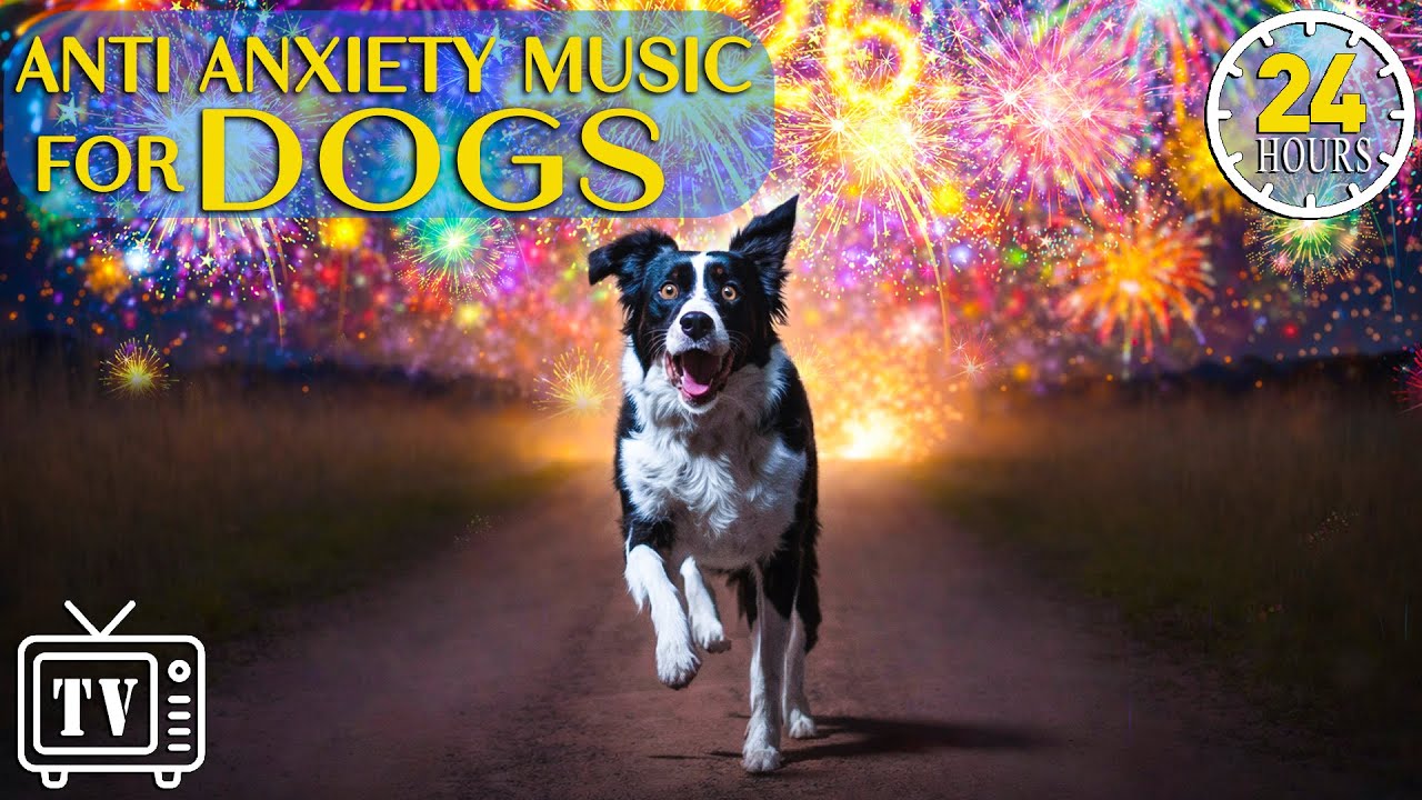 [LIVE] Dog TV: Calm Dogs from Fireworks | New Year Anti-Anxiety Music for Dogs Bangs and Loud Noises