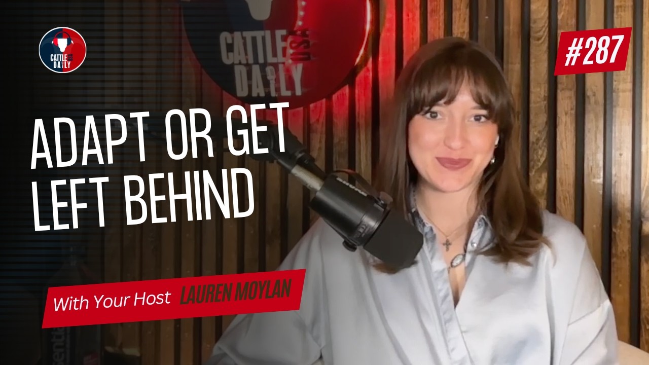 287: Адаптируйся или останешься позади