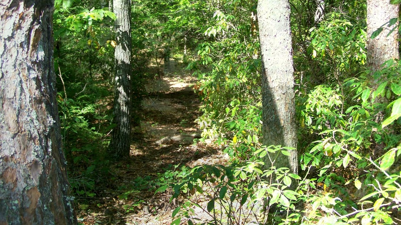 Wilderness Road: The History of the Wilderness Road, Pt 1