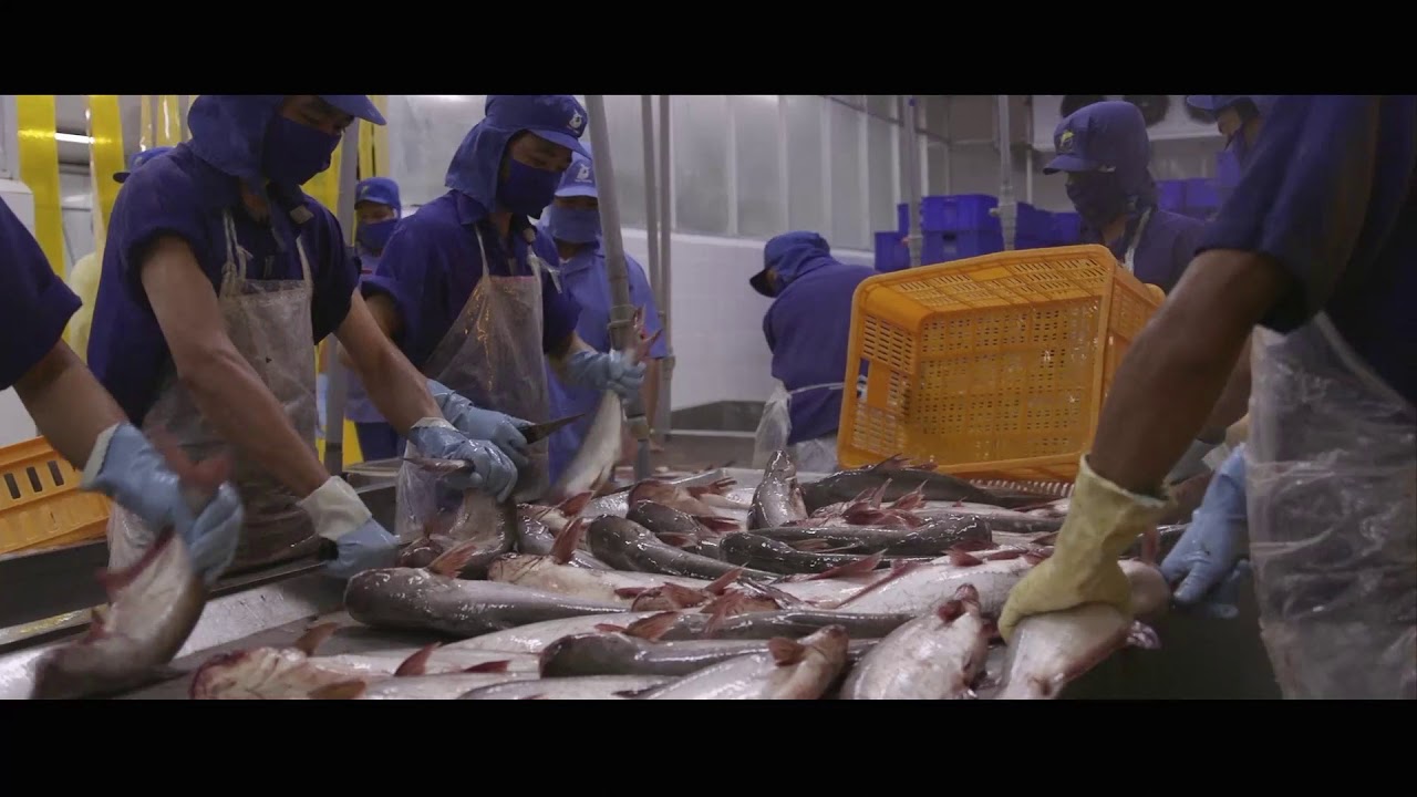 Processing Line (Fish Nuggets)