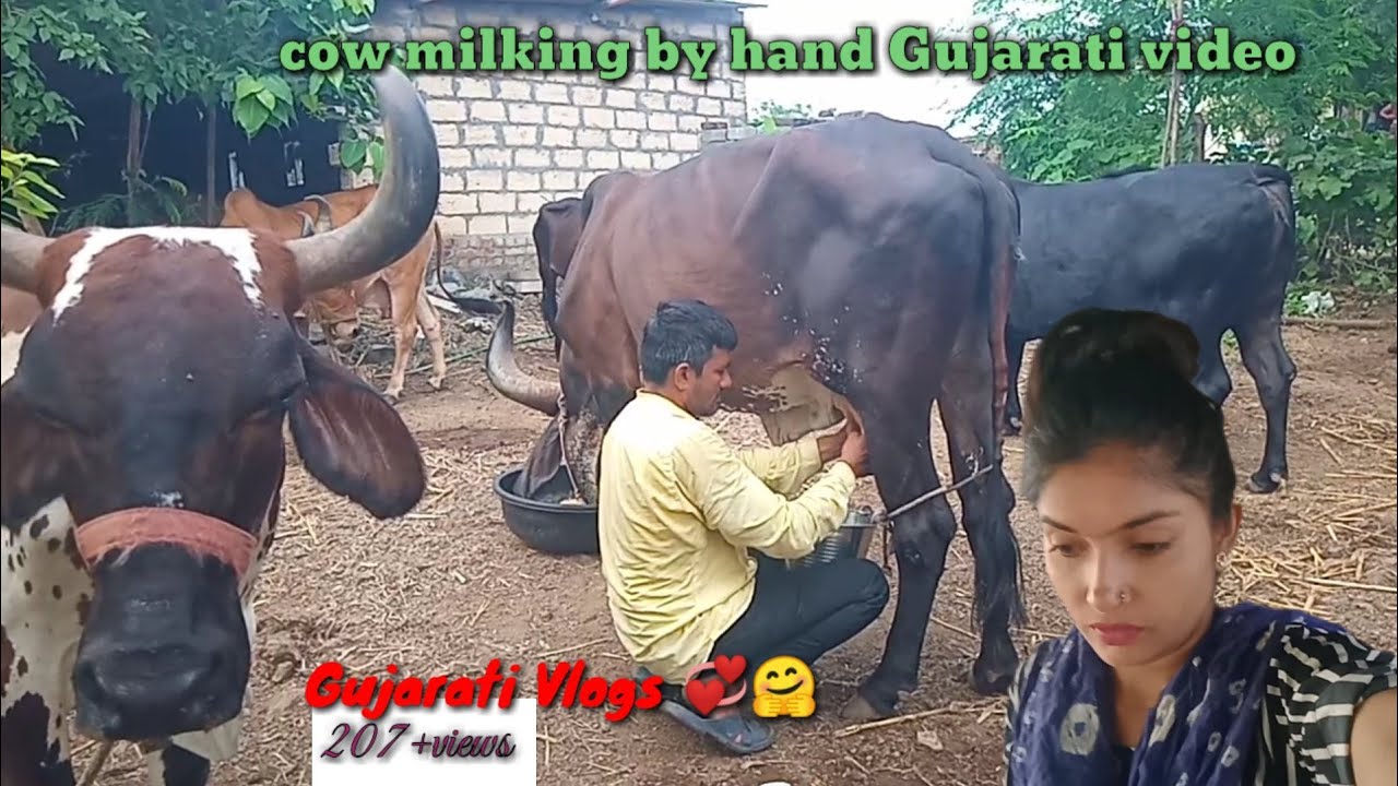 ભારે વરસાદ 🤔☔