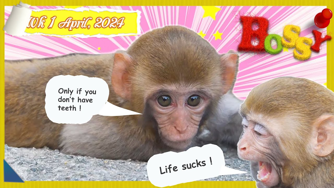 Hello, April ! Does Dewy need weaning 🤔😝😇