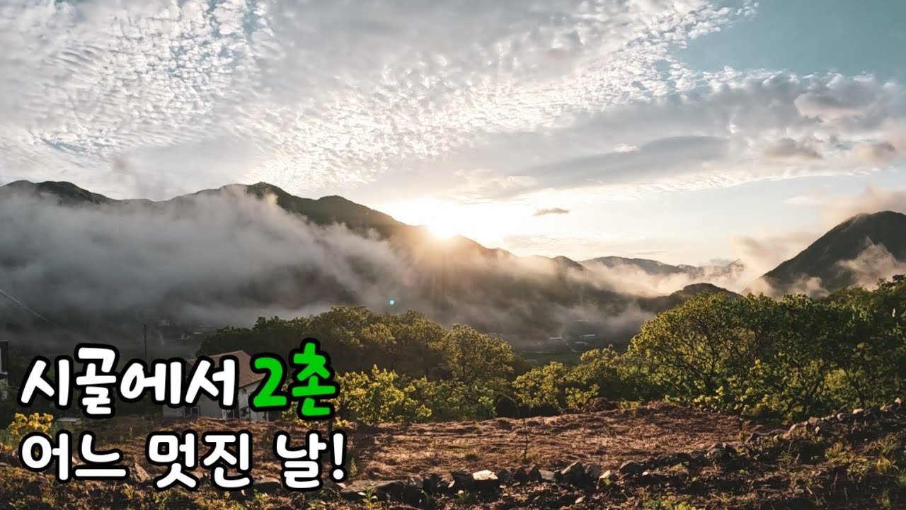 햇살, 빗소리, 멋진 구름 / 힐링 3촌 / 온실 밖은 위험해😂 / 숯불소고기, 상추장아찌, 부추전, 쌈밥 / 먹는거에 진심부부