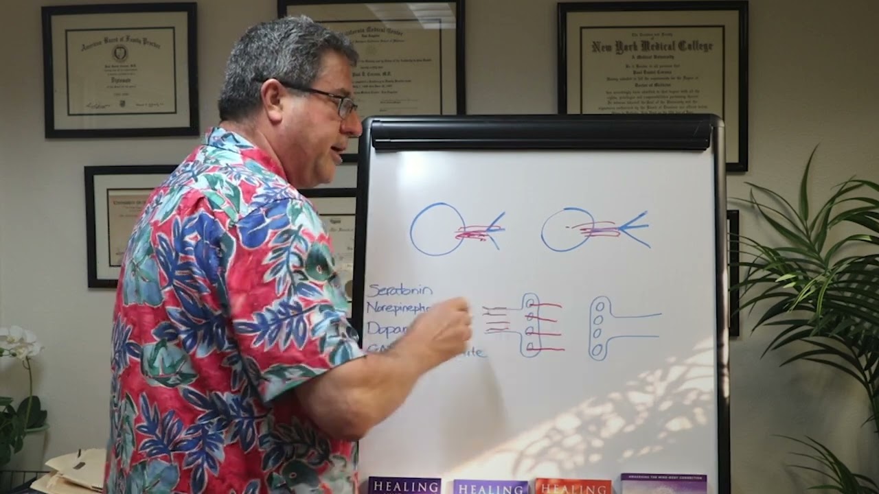 Basic Neurology and Neurochemistry Regarding Mental Health