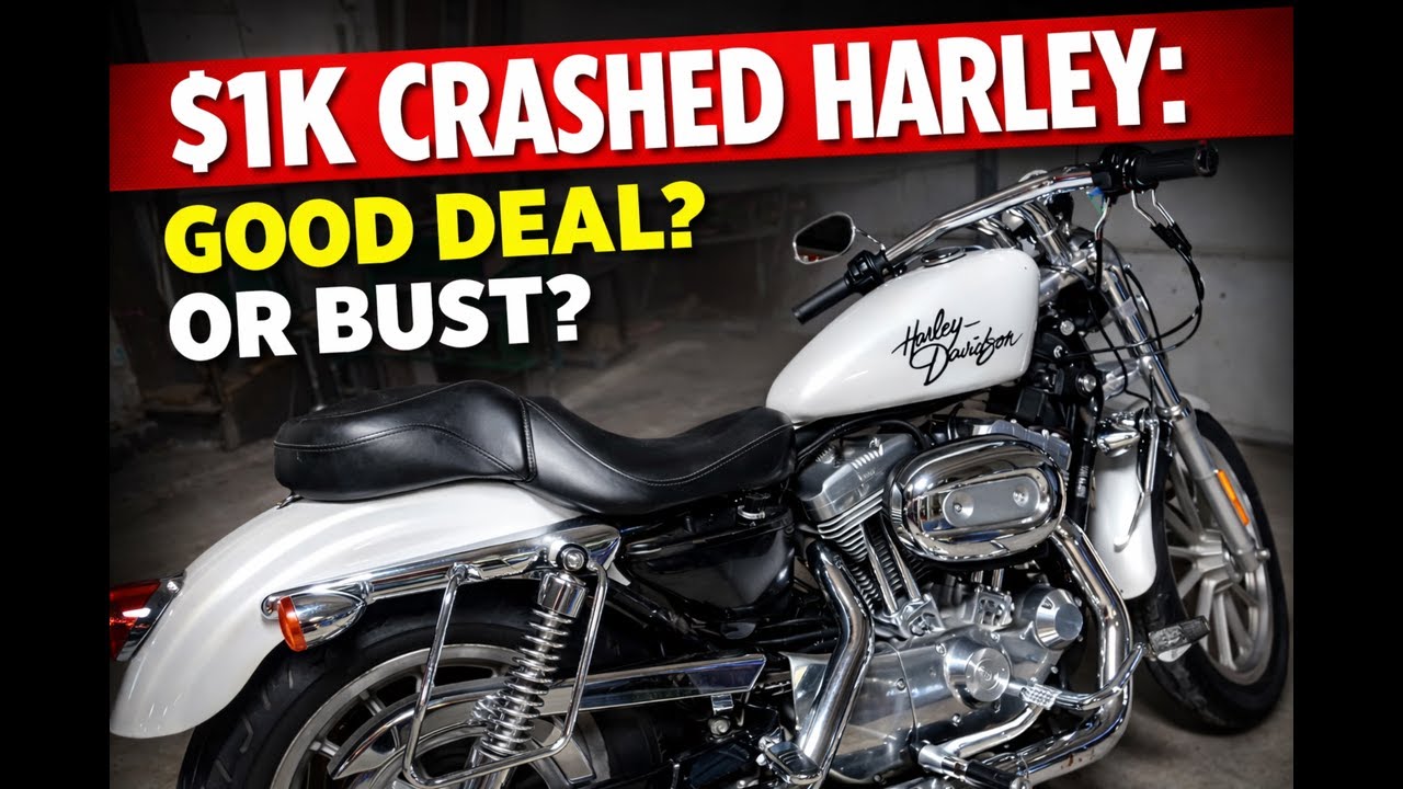 2005 Wrecked Harley for 1K! Good Deal? Or Save the Money!