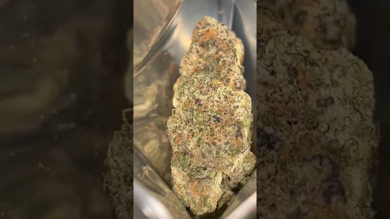 PEACHY HOCHATA STRAIN BY DUBZ GARDEN! #peachyhochatastrain #420 #cannabistrain #cannabis #dubzgarden