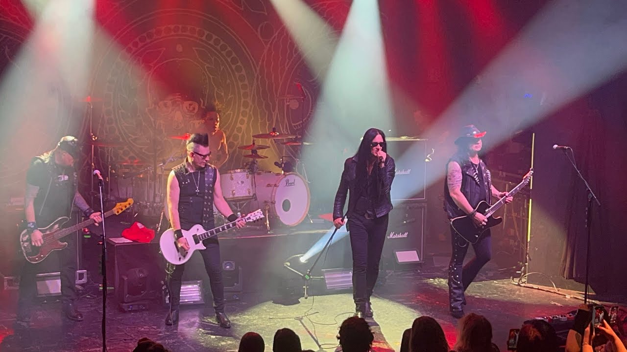 The 69 eyes - Gotta rock (Boycott cover)