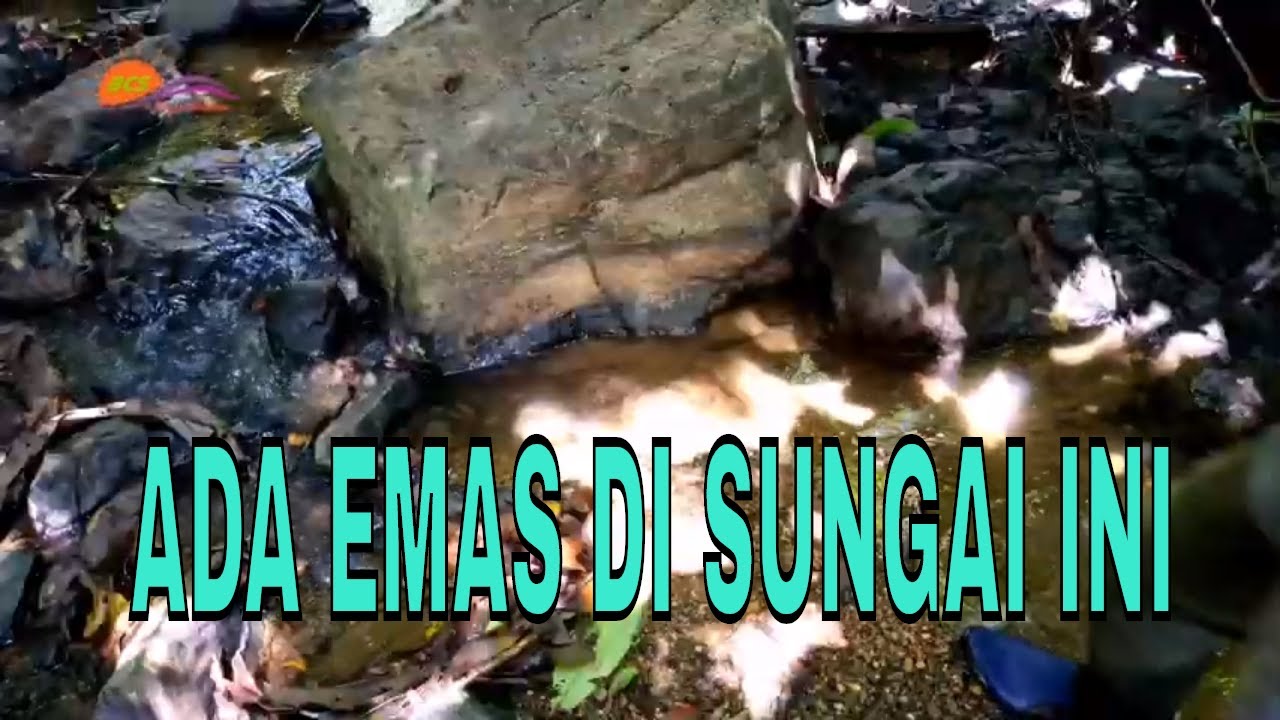 Menelusuri sungai potensi ada emas - gold nugget - nokta makro gold kruzer indonesia
