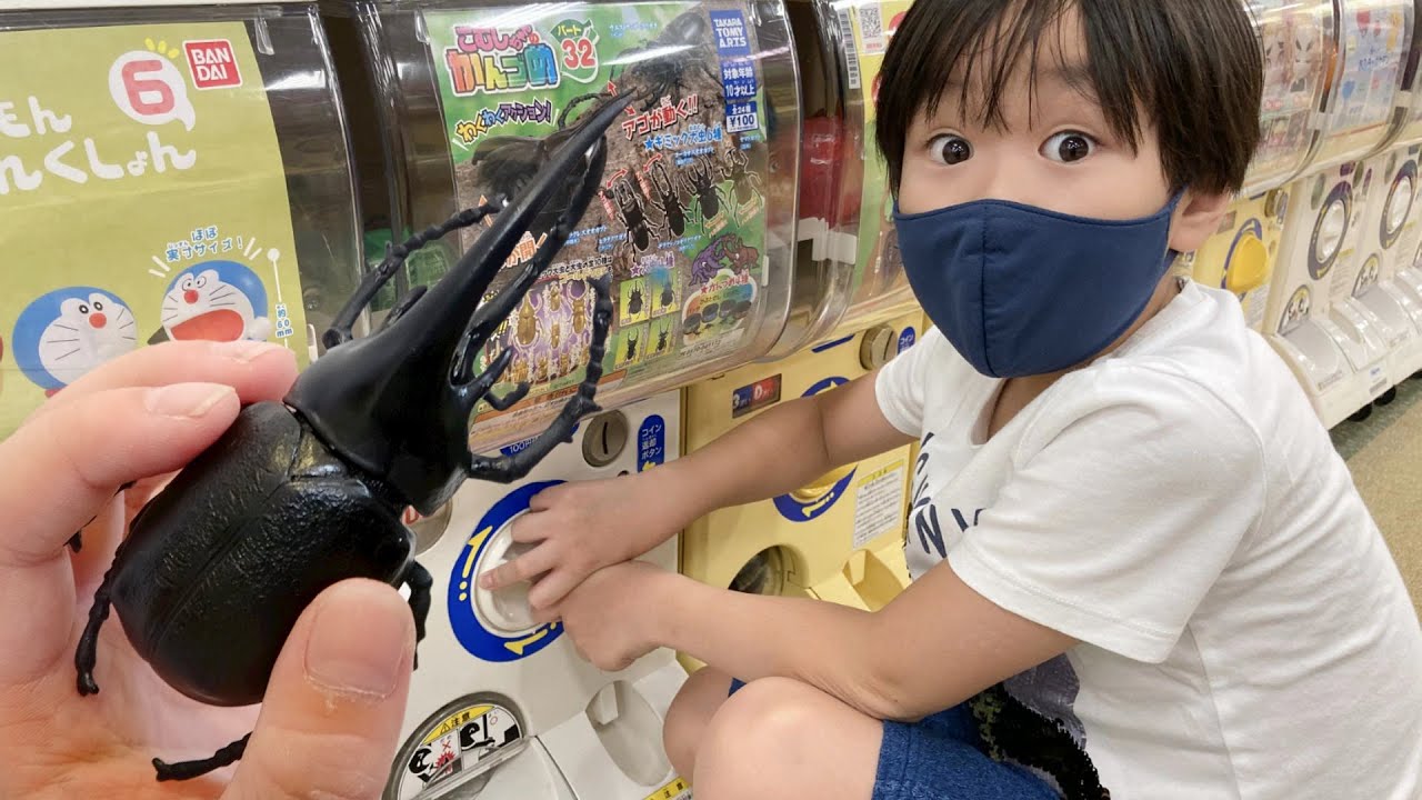 レオくんがこむしちゃんのかんづめのガチャポンをするよ！どんな昆虫が出てくるかな？ レオスマイ