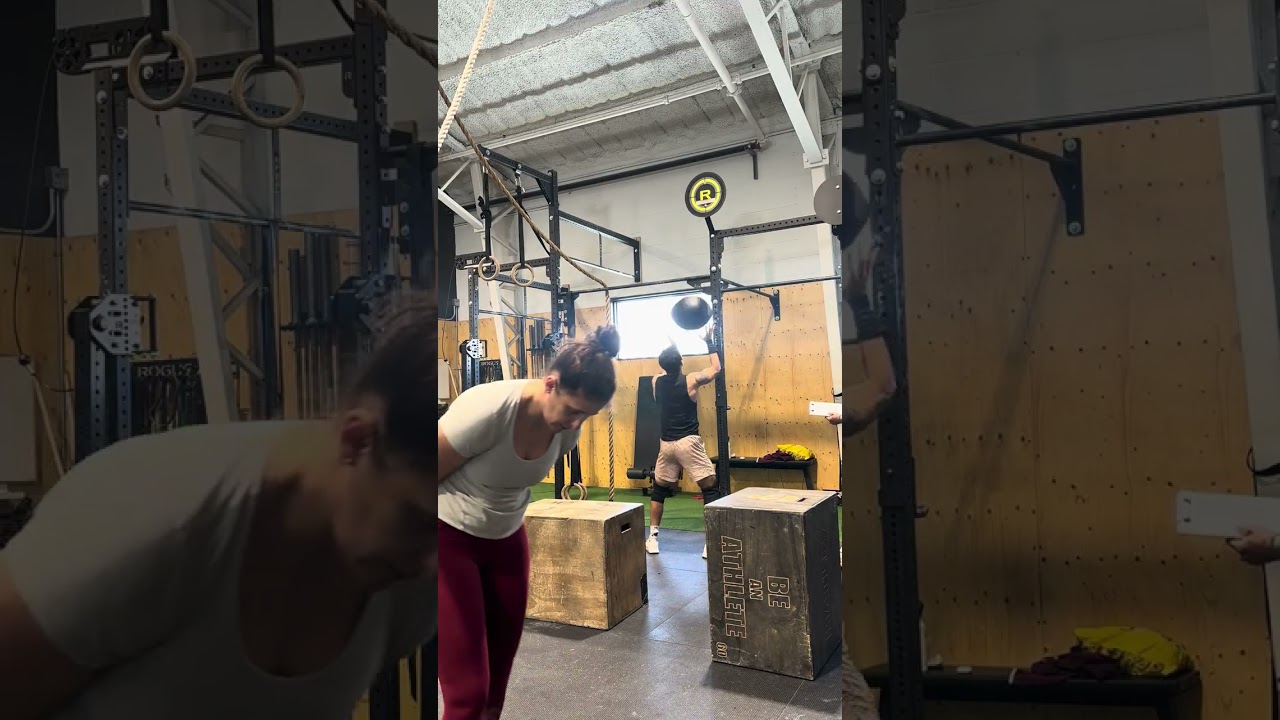 26.1