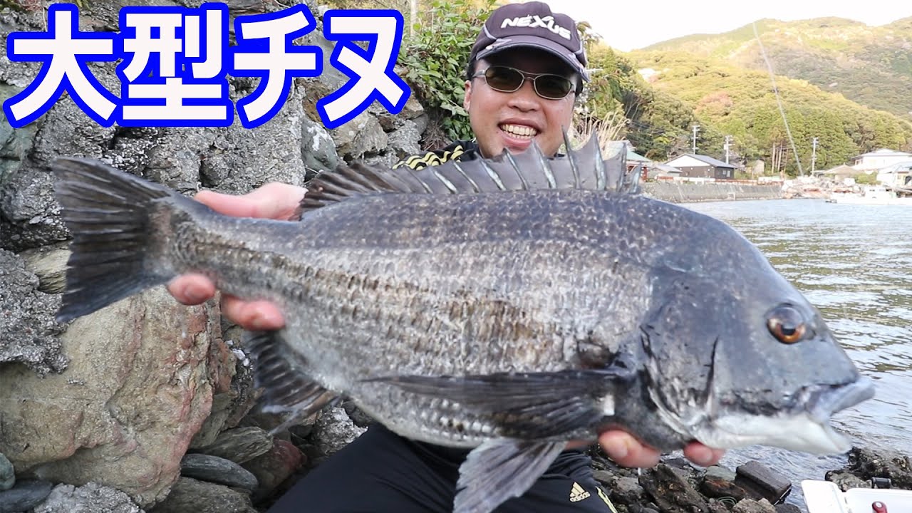 蒲江の大型チヌのっこみシーズンにやってしまいました！