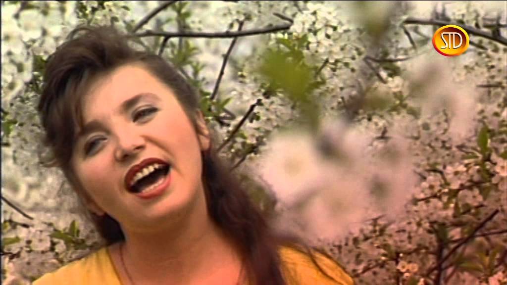 DIANA Wiśniowy sad