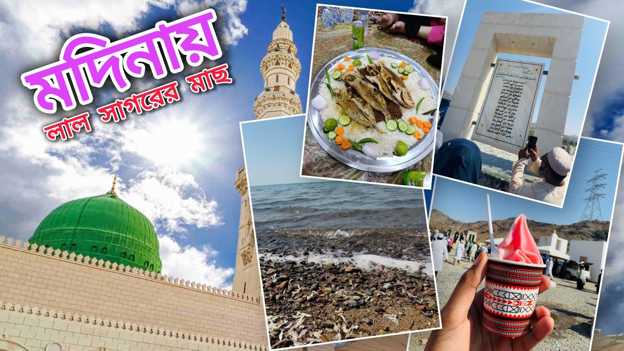 মদিনায় লাল সাগরের মাছ খেতে গেলাম!😍 || মদিনা জিয়াড়া || ওমরাহ্ ব্লগ ২০২৫