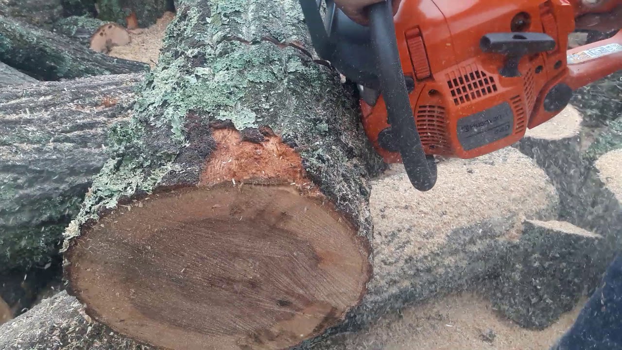 HUSQVARNA 440 II xtorq 2,4 hp putting it to wok.