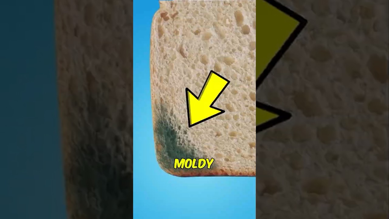 Never Just Cut Mold Off Bread! Here&rsquo;s Why 😳🍞
