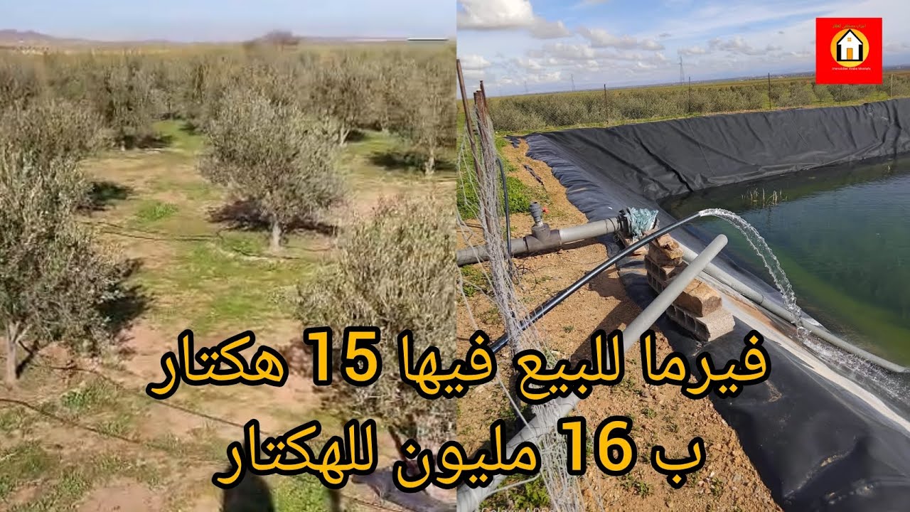 ضيعة فيلاحية للبيع 15 هكتار نواحي تملالت ب 16 مليون للهكتار دخل تعرف تفاصيل 