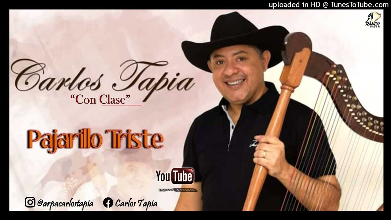 CARLOS TAPIA INSTRUMENTALES - PAJARILLO TRISTE @joelantonionarvaez @carlostapia7523