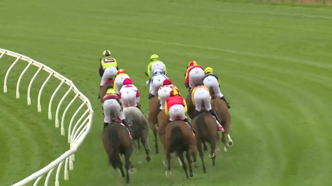 Vamos Stakes 2025 - GEEGEES MISTRUTH (3YO+ G3 WFA FM) Group 3 Launceston 26 February