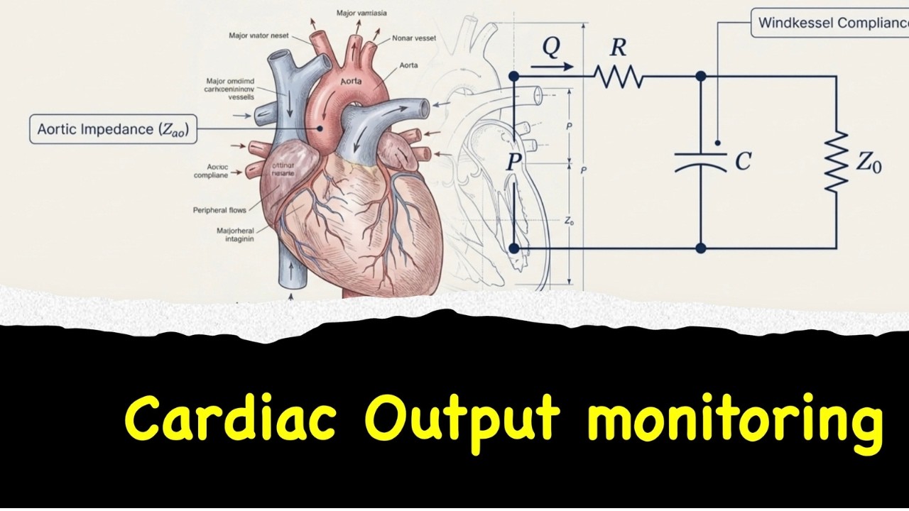 Зүрхний түрлэгийн хяналт (Cardiac output monitoring parameters )