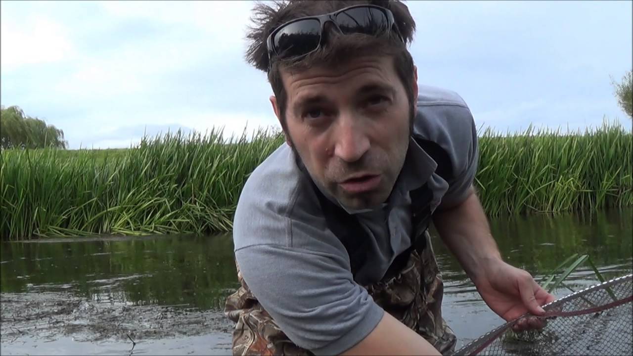 Surface Chub fishing with Bread