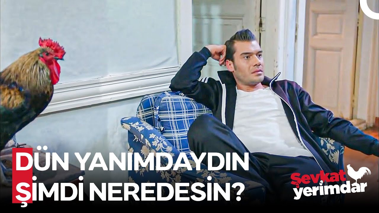 Seven Erkek Kıskanır Mı? - Şevkat Yerimdar