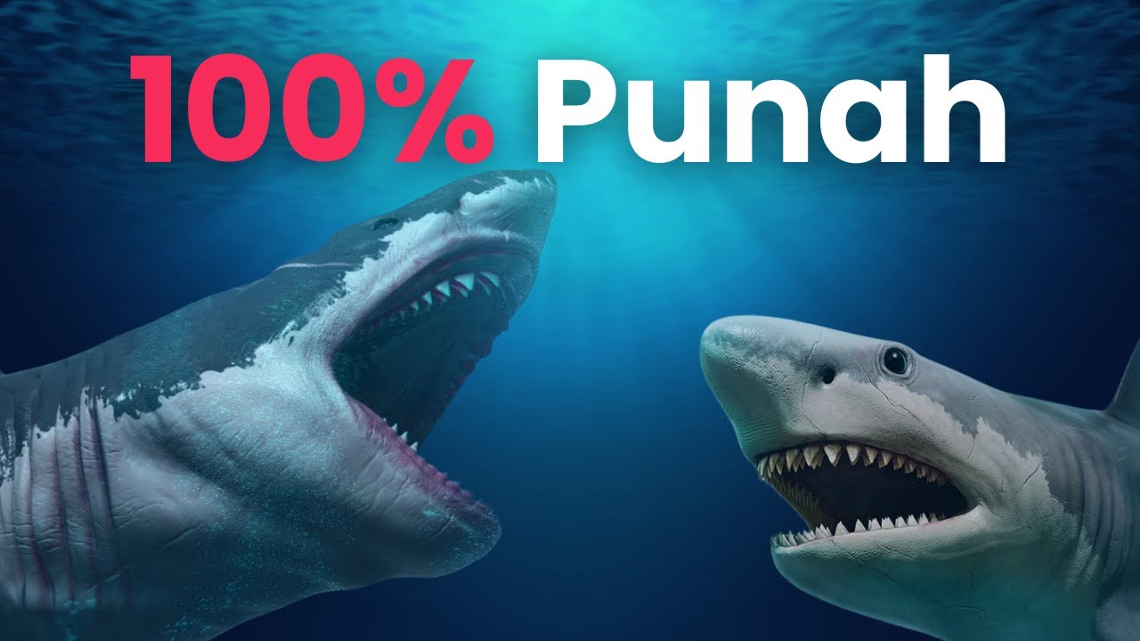 Maaf, Tapi Megalodon Udah 100% Punah 🙏