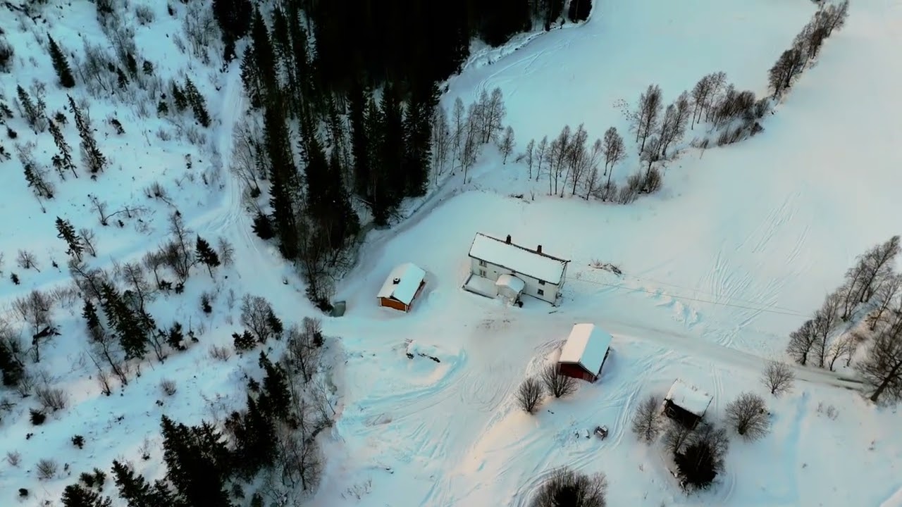 Ålen delight 