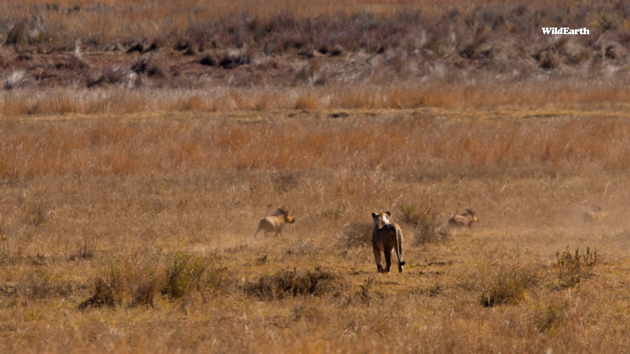 Riverine cruise with the Southern Pride