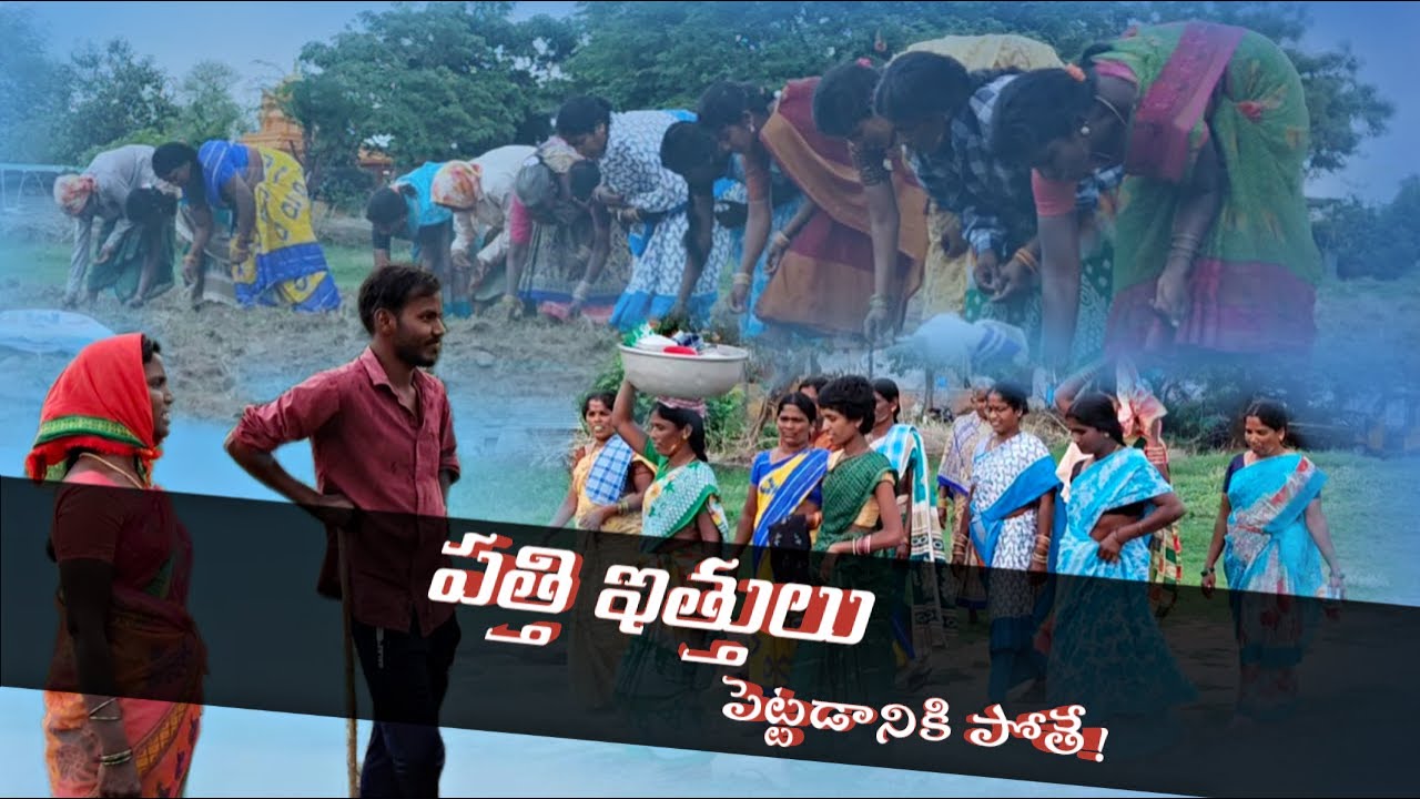 పత్తి  ఇత్తులు పెట్టడానికి పోతే