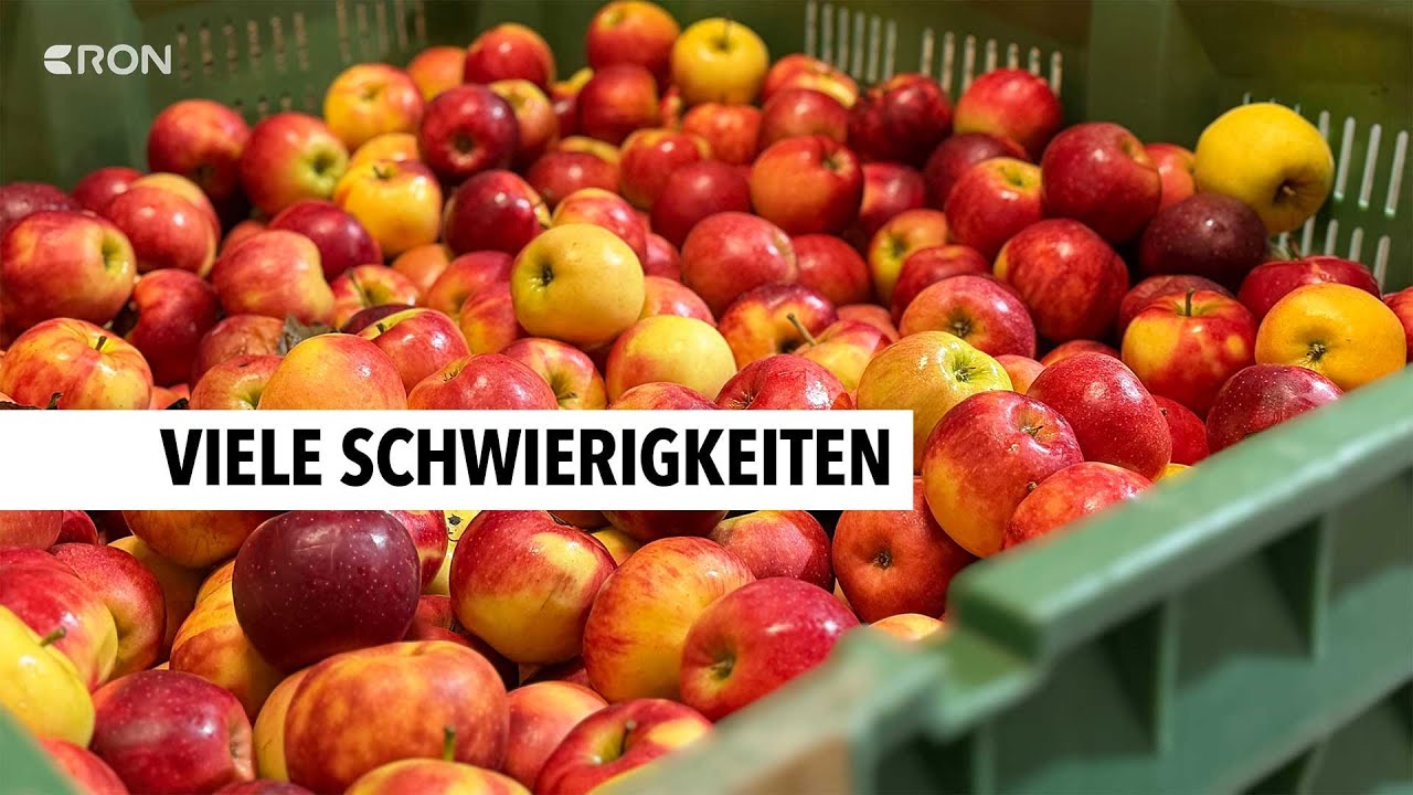Ein Tag beim Obstbauern - Herausforderungen für Landwirte | RON TV