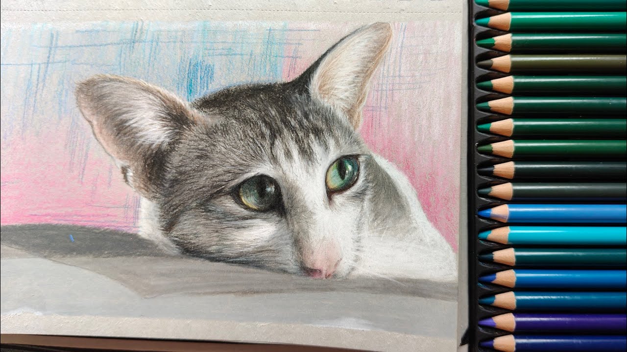 Drow My First Cat in pencil Color || Reast in peace 