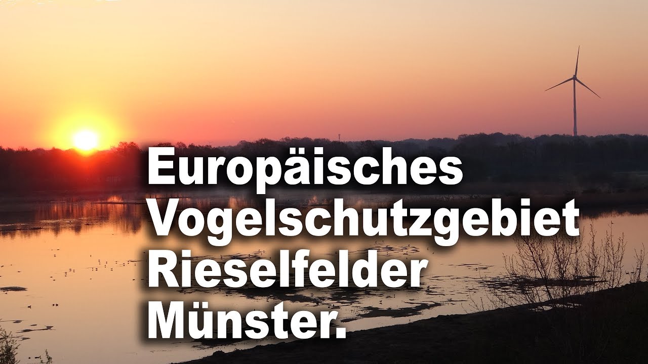 Europ&auml;isches Vogelschutzgebiet Rieselfelder  M&uuml;nster.