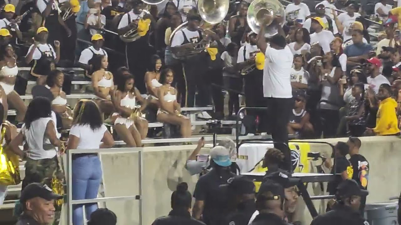 ASU Stingettes (LDC) 2022 - N95 (Miles)