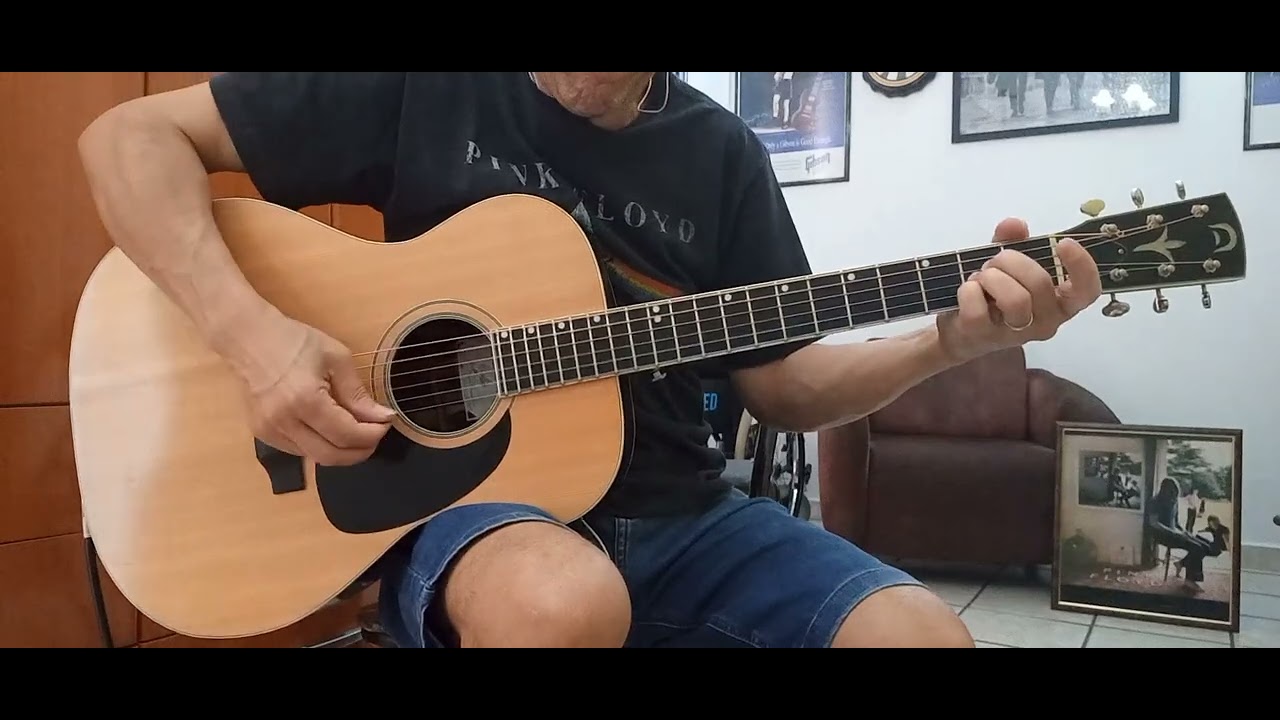 I Know What I Like (In Your Wardrobe)  song by Genesis. #genesisband #acousticguitar #genesis #rock