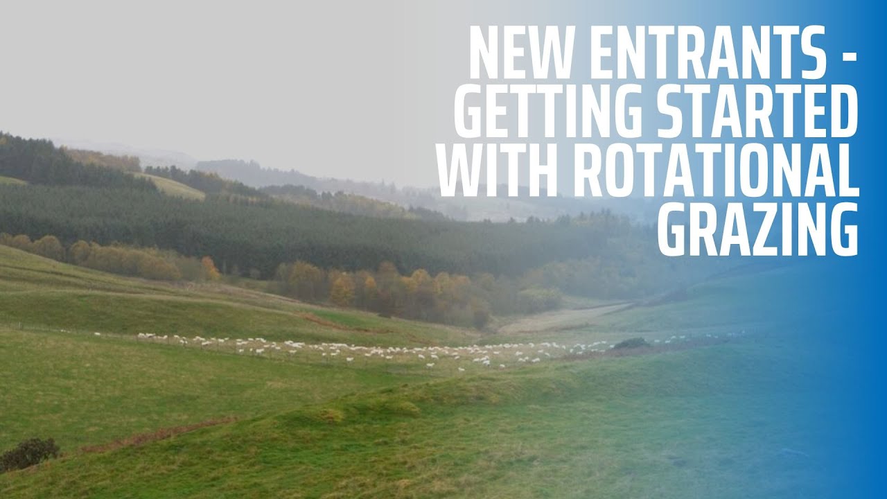 New Entrants - Getting Started with Rotational Grazing