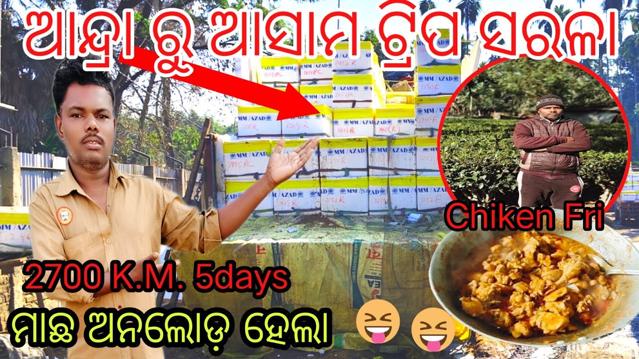 ଆନ୍ଦ୍ରା ପ୍ରଦେଶ ରୁ ଆସାମ Trip ସରଳା ଆଜୀବନବା ଚିକେନ ଫ୍ରାଇ 🚛 ମାଛ ଅନଲୋଡ଼ ହେଲା 🙏👍 #driver #life ଭିଡ଼ିଓ 