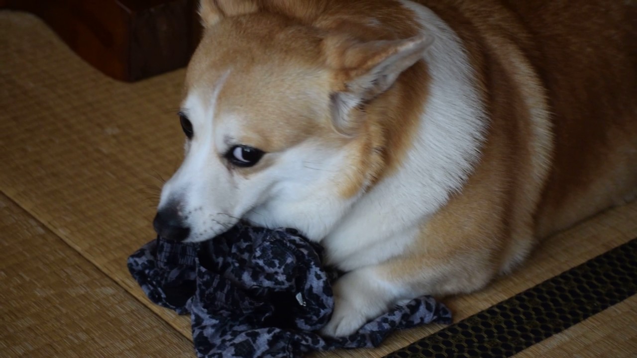 俺のパンツが・・・・