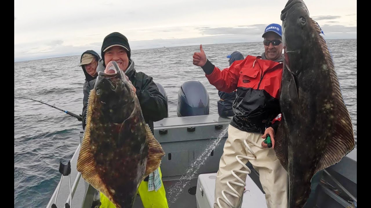 162lbs of Westport Halibut on Opening Day. We Like Big Butts & We Cannot Lie. How To Catch & Fillet.