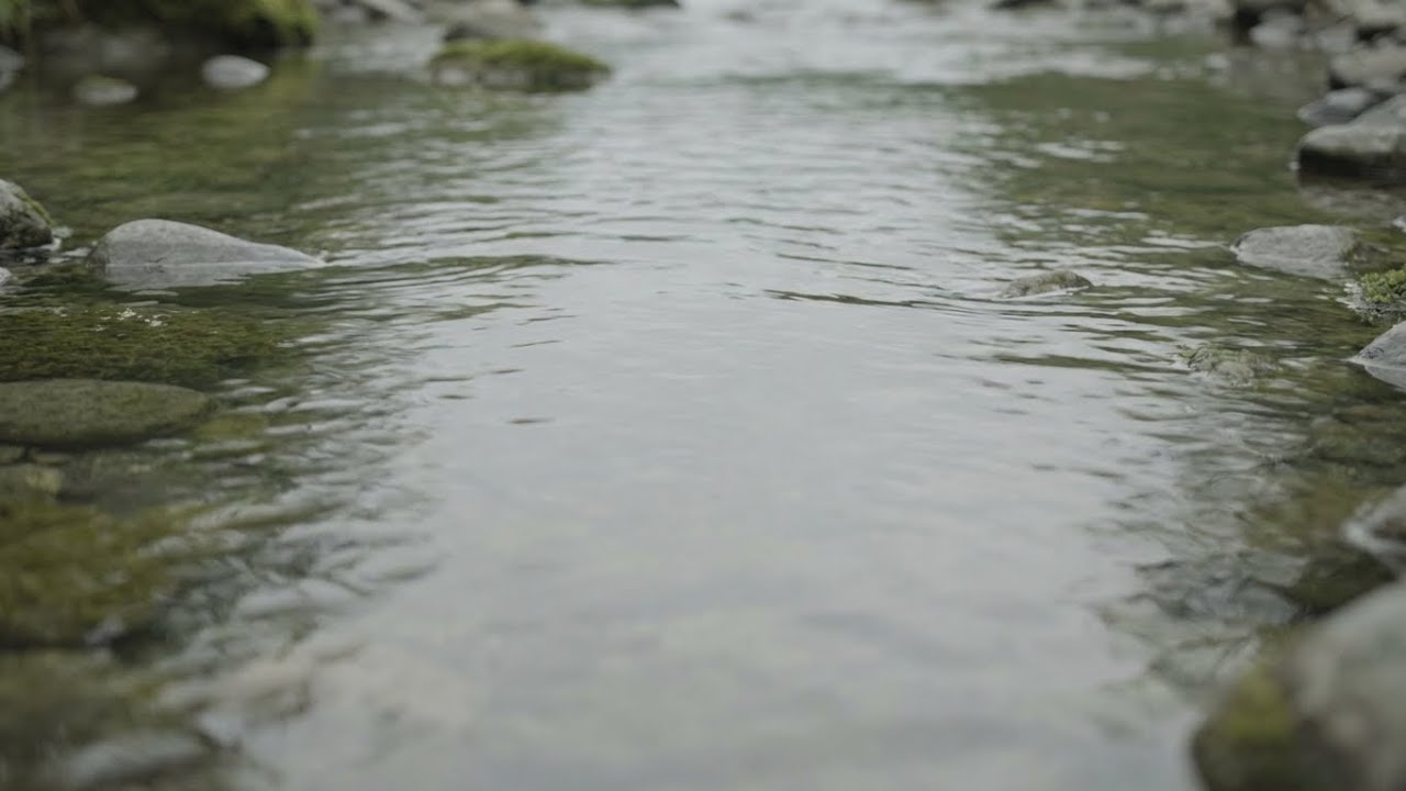 Gentle Stream Drift 🌊 | Healing Ambient Music for Deep Calm & Relaxation