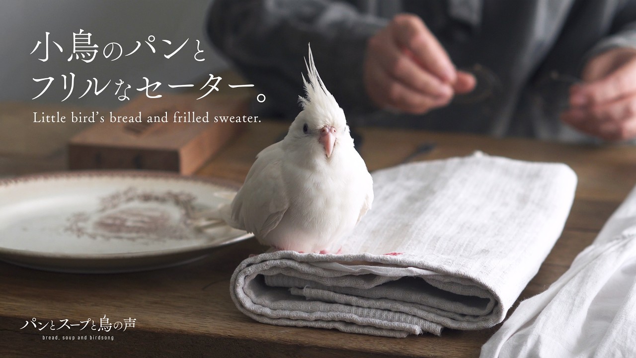 【暮らしvlog】セーター完成✨ミニショート🍓小鳥パン | アンティーク購入品 | Hand-knitted sweater, bread, and cake 🕊️