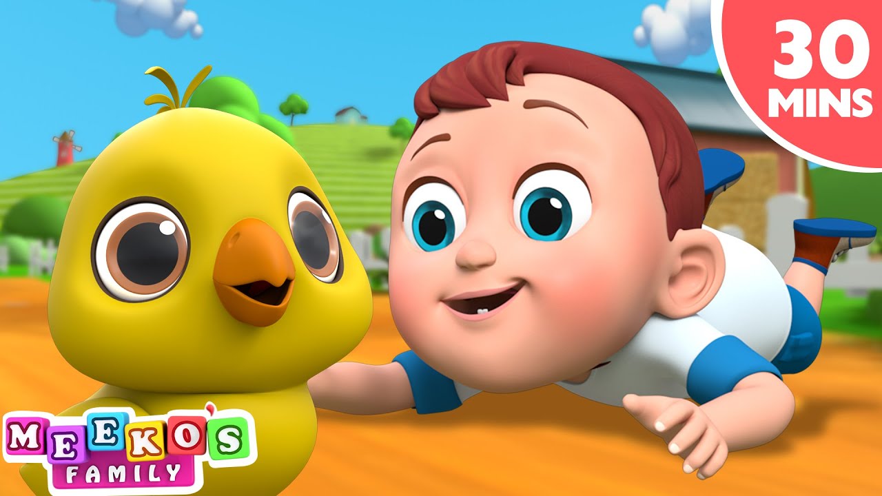 Meeko Had A Little Chick + Nursery Rhymes For Babies | Meeko's Family
