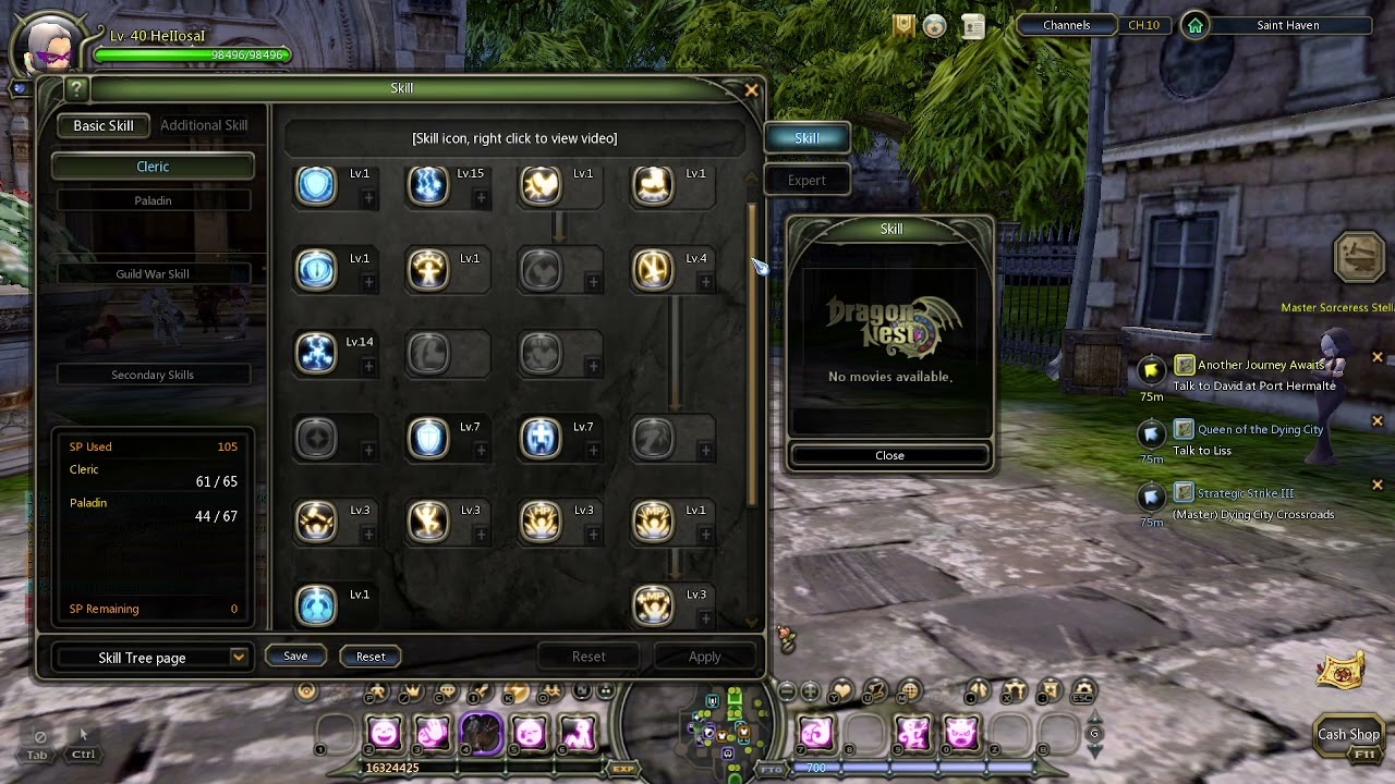 Dragon Nest Classic - Paladin DPS + Tank Build