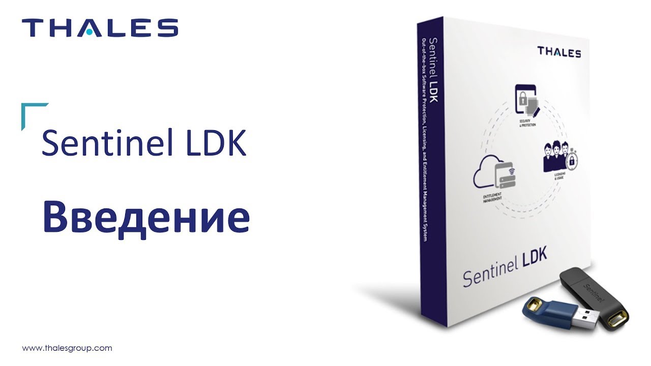 уководство Sentinel LDK: Введение