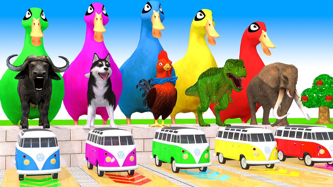 Long Slide Game With Cow Elephant Gorilla Hippopotamus Tiger - 3d Animal Game - Funny 3d Animals