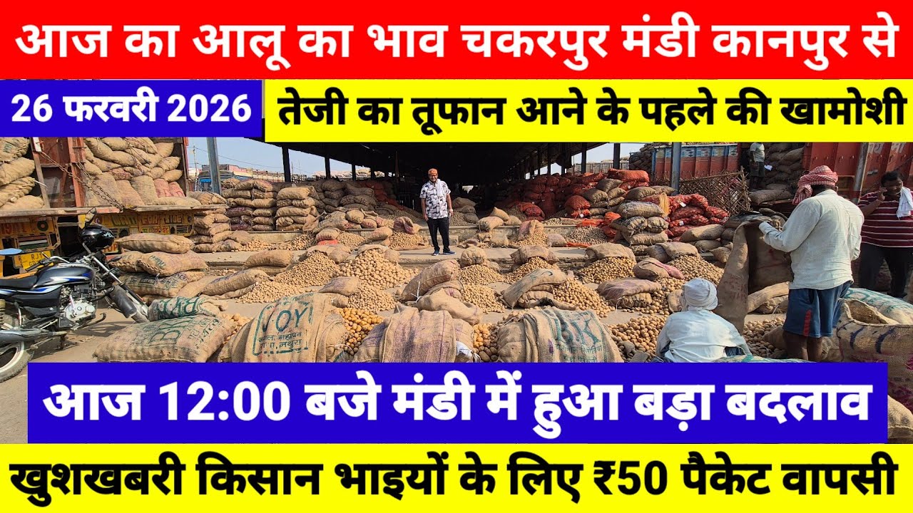 26 फरवरी 2026 // आज का आलू का भाव चकरपुर मंडी कानपुर का तेजी का तूफान आने के पहले की खामोशी 