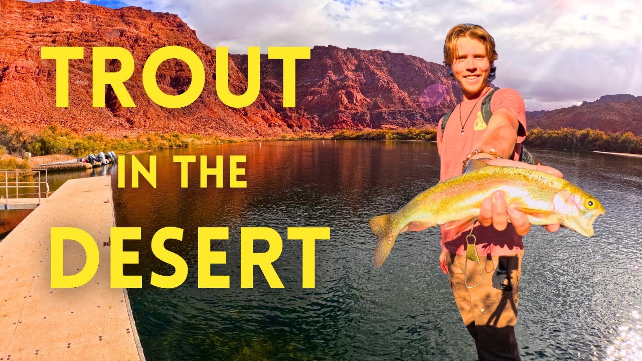 Trout Fishing the Colorado River | Catch and Cook in my Camper Van