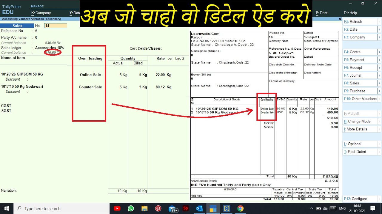 Customize Invoice Print | Add own Item Extra Field | 56th Tally Small but Smart Trick@Learn Well